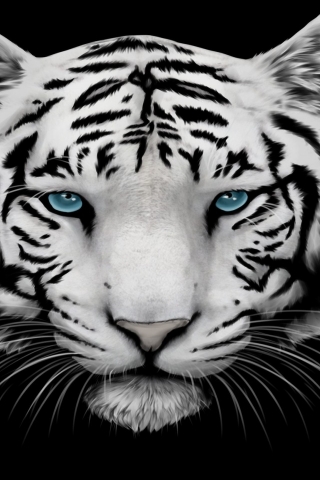 White Tiger and Blue Eyes for 320 x 480 iPhone resolution
