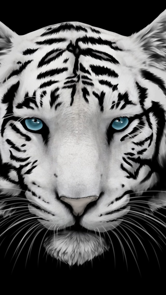White Tiger and Blue Eyes for 640 x 1136 iPhone 5 resolution