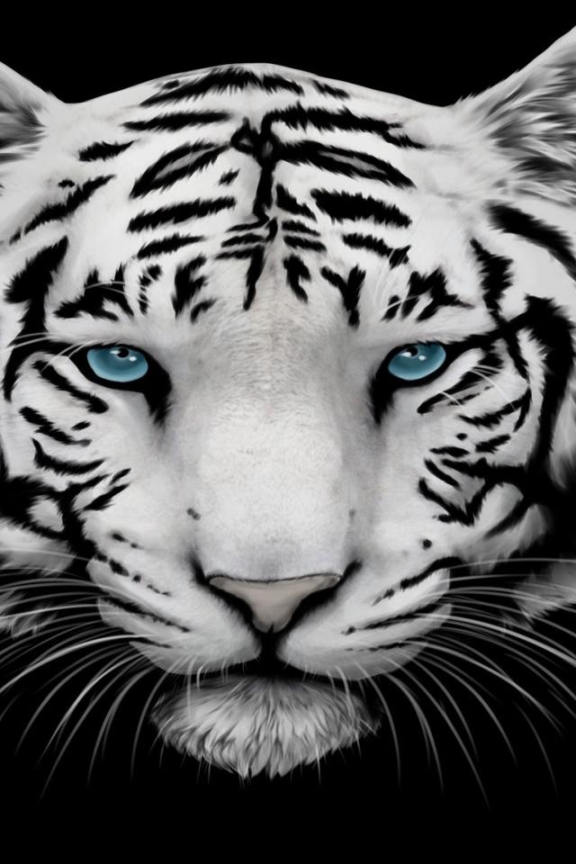 White Tiger and Blue Eyes for 640 x 960 iPhone 4 resolution