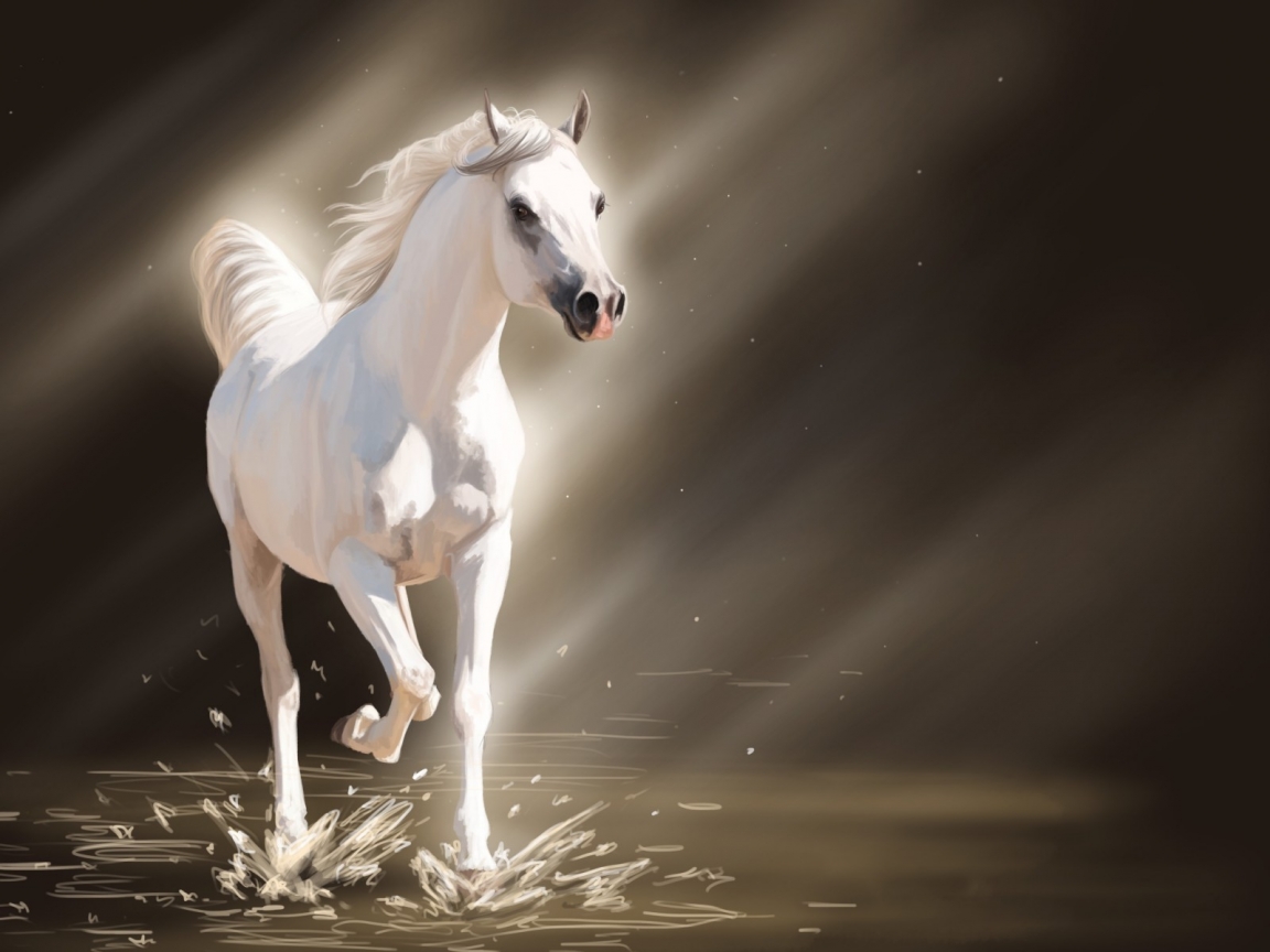White Young Horse for 1152 x 864 resolution