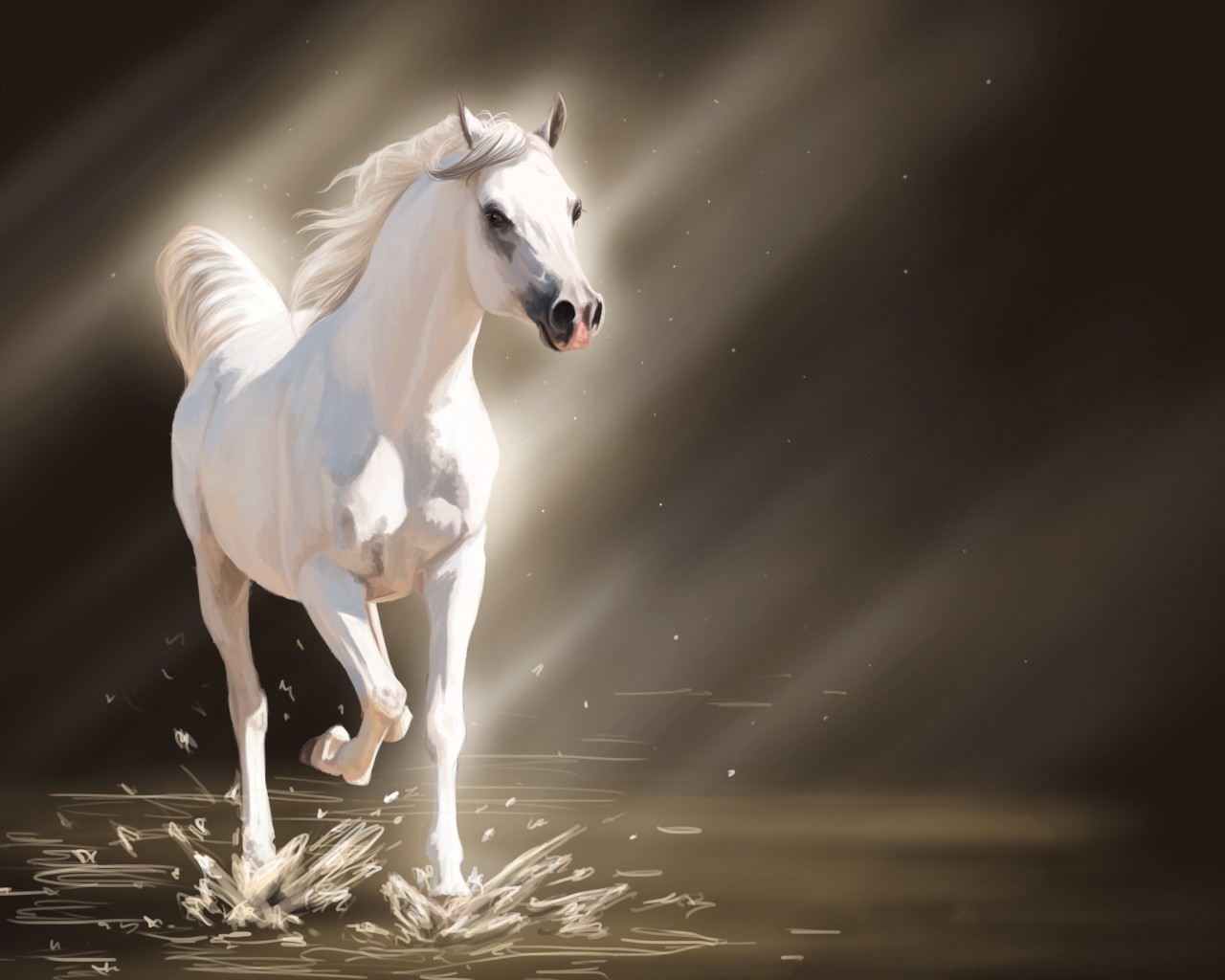 White Young Horse for 1280 x 1024 resolution