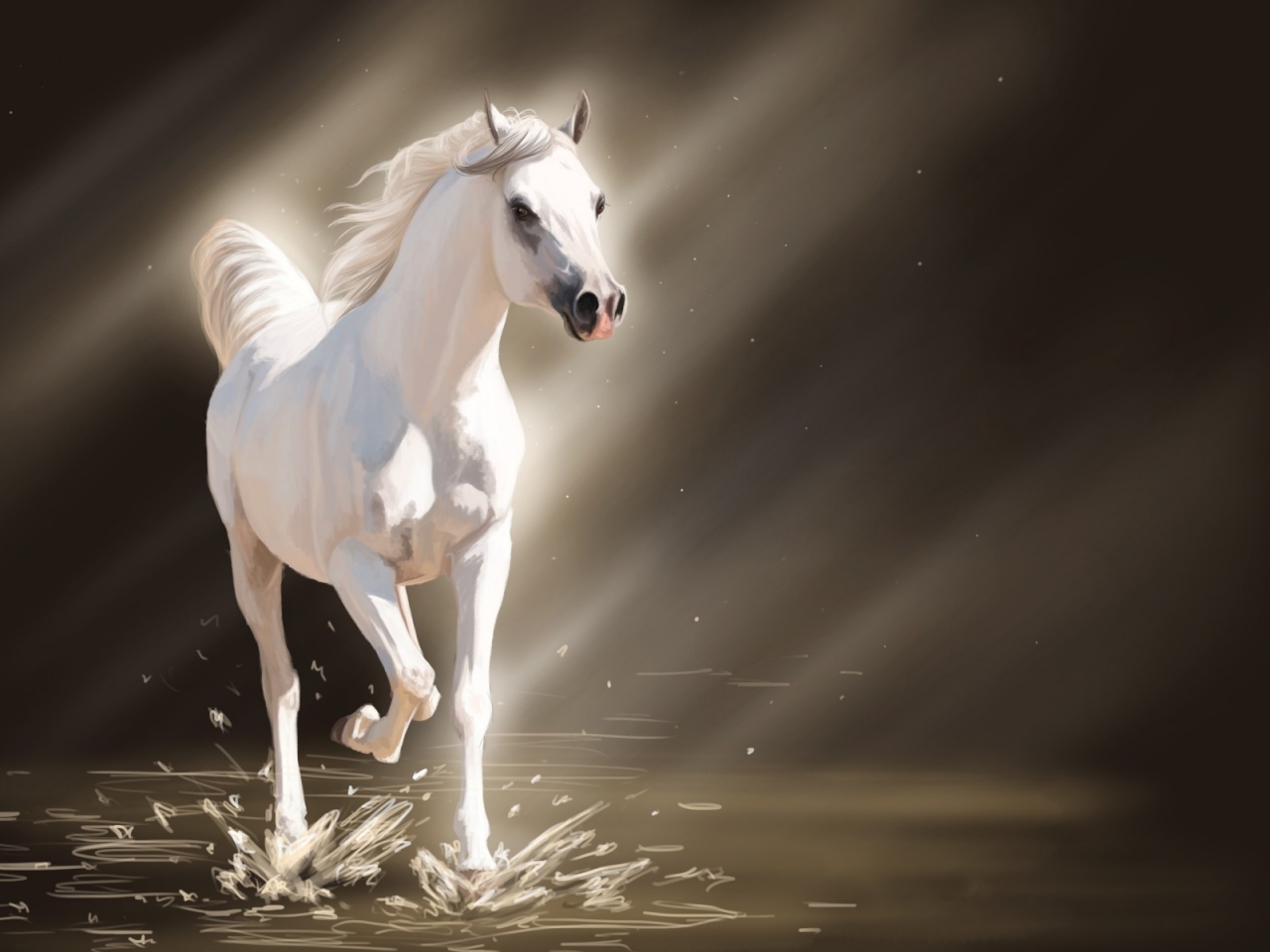 White Young Horse for 1280 x 960 resolution