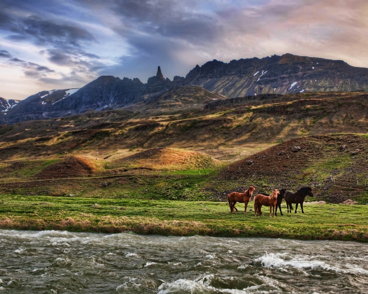 Wild Horses for 1280 x 1024 resolution