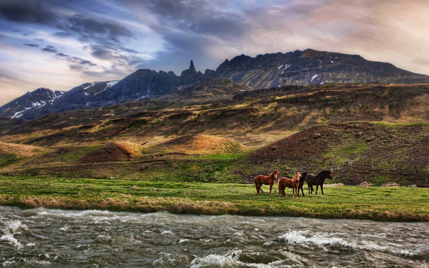 Wild Horses for 1440 x 900 widescreen resolution