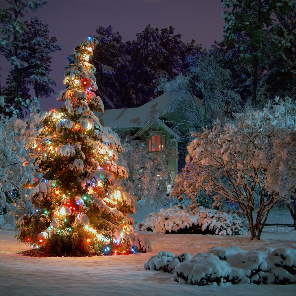 Winter Christmas Tree for 1024 x 1024 iPad resolution