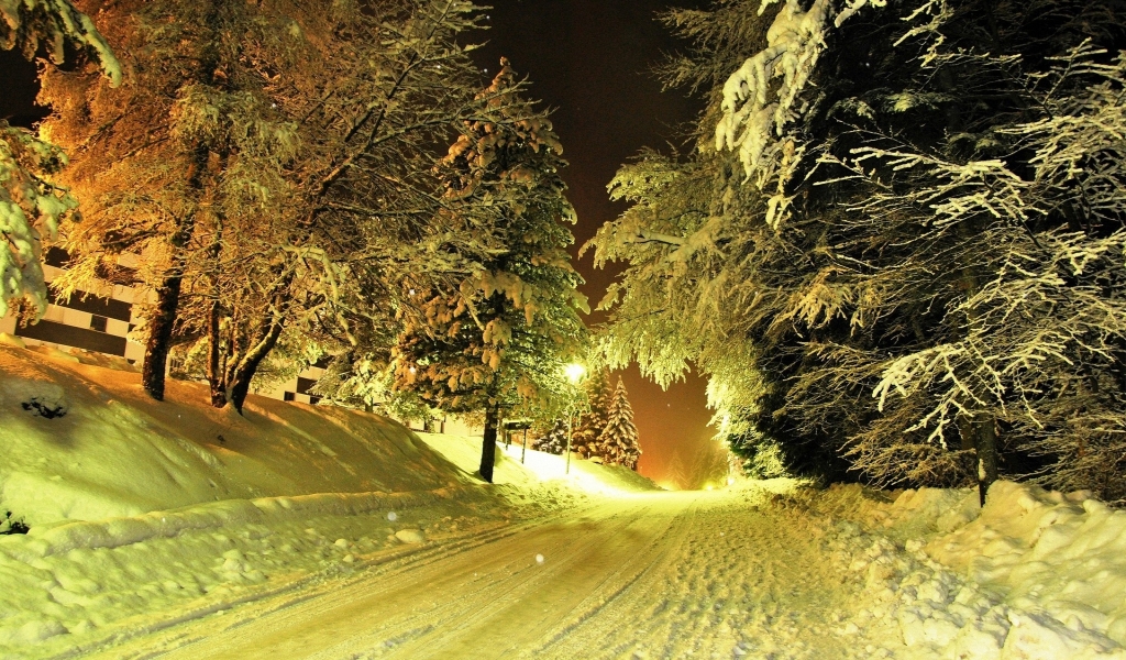 Winter Night for 1024 x 600 widescreen resolution