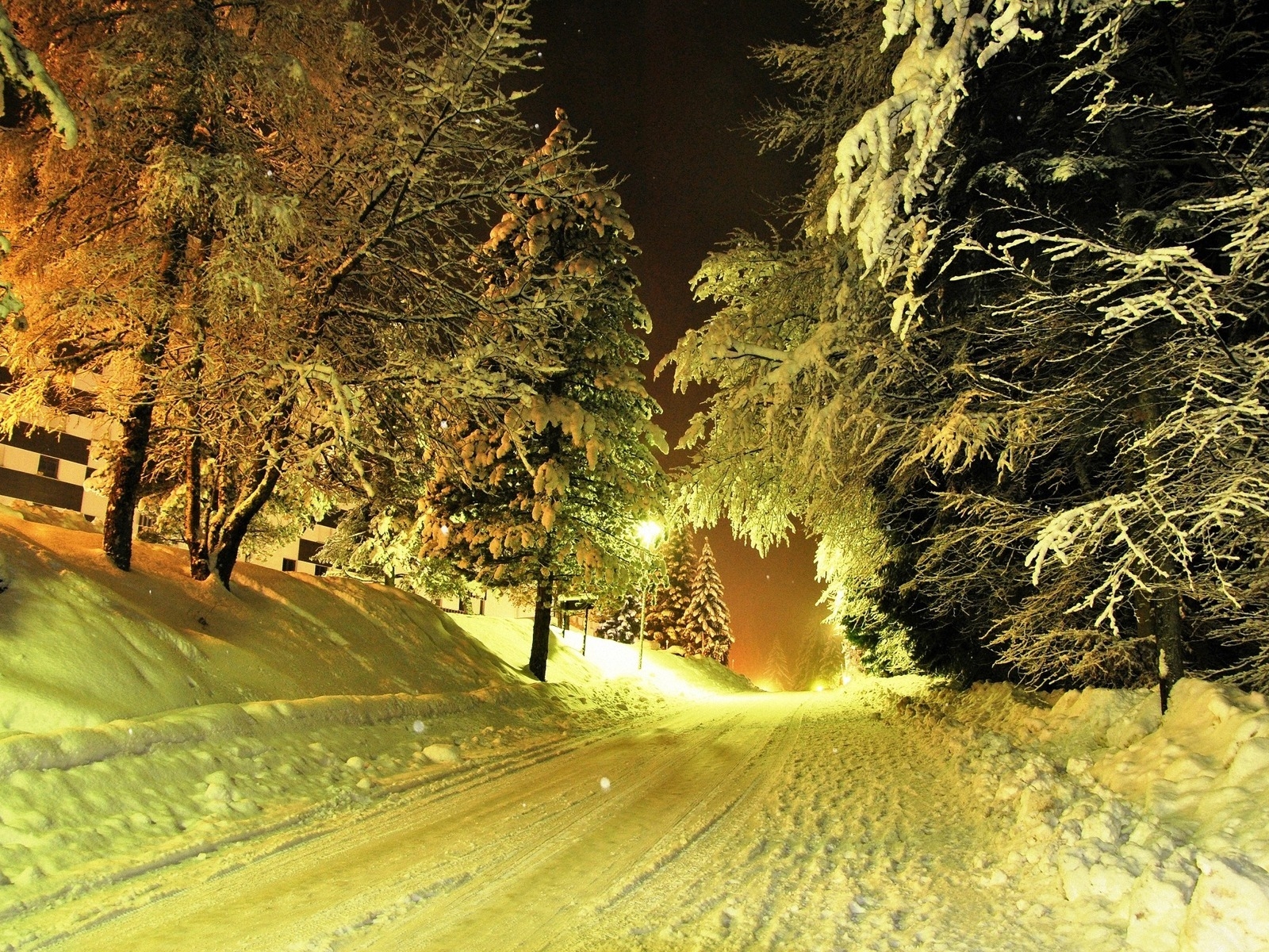 Winter Night for 1600 x 1200 resolution