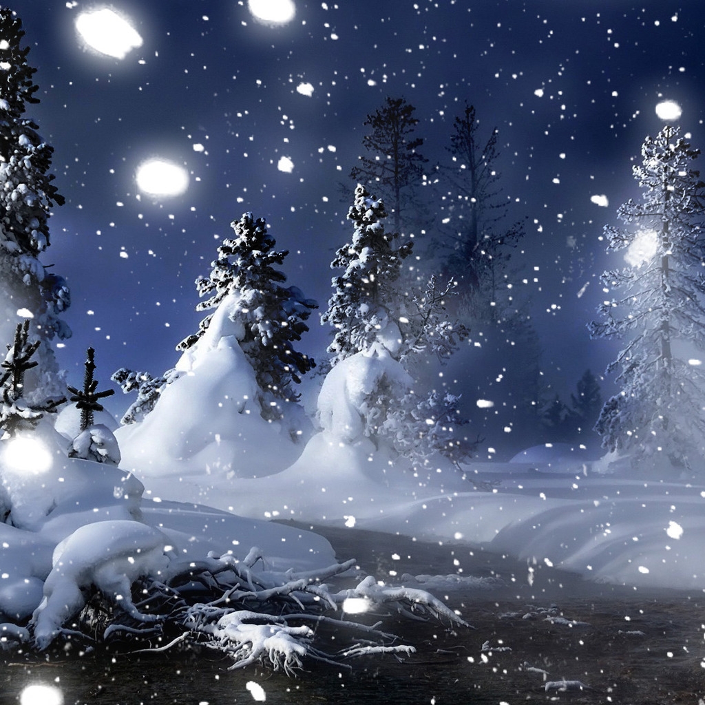 Winter Night in Park for 1024 x 1024 iPad resolution
