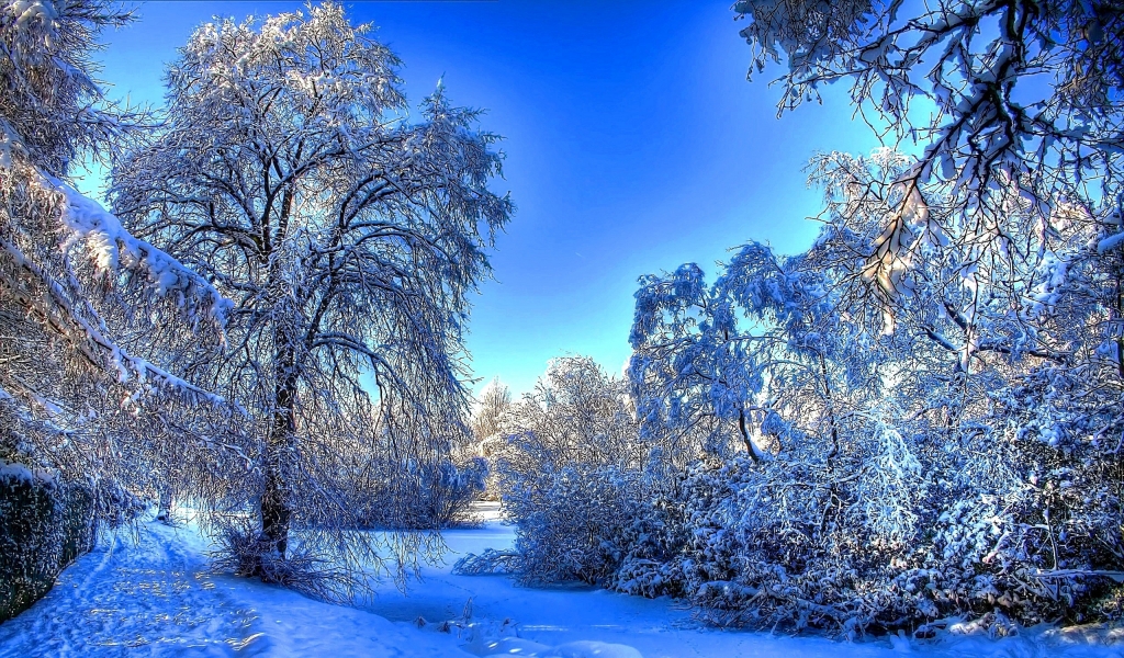 Winter Snow Landscape for 1024 x 600 widescreen resolution