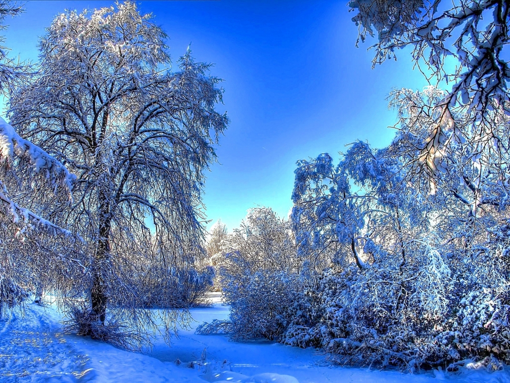 Winter Snow Landscape for 1024 x 768 resolution