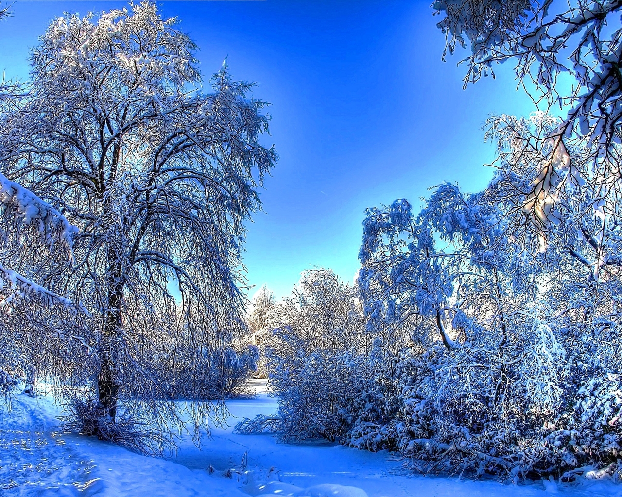 Winter Snow Landscape for 1280 x 1024 resolution
