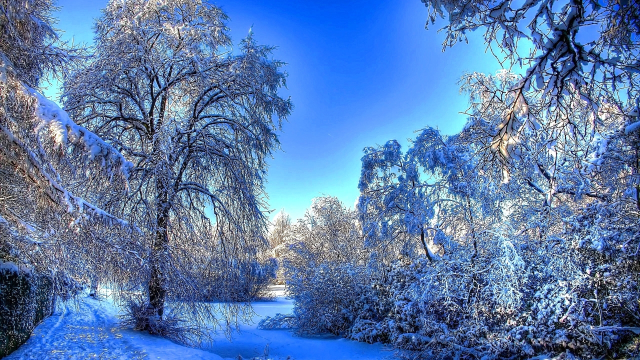 Winter Snow Landscape for 1280 x 720 HDTV 720p resolution