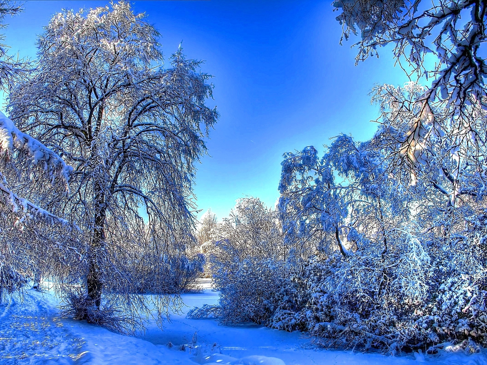 Winter Snow Landscape for 1600 x 1200 resolution