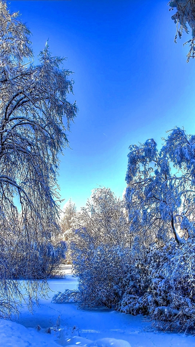Winter Snow Landscape for 640 x 1136 iPhone 5 resolution