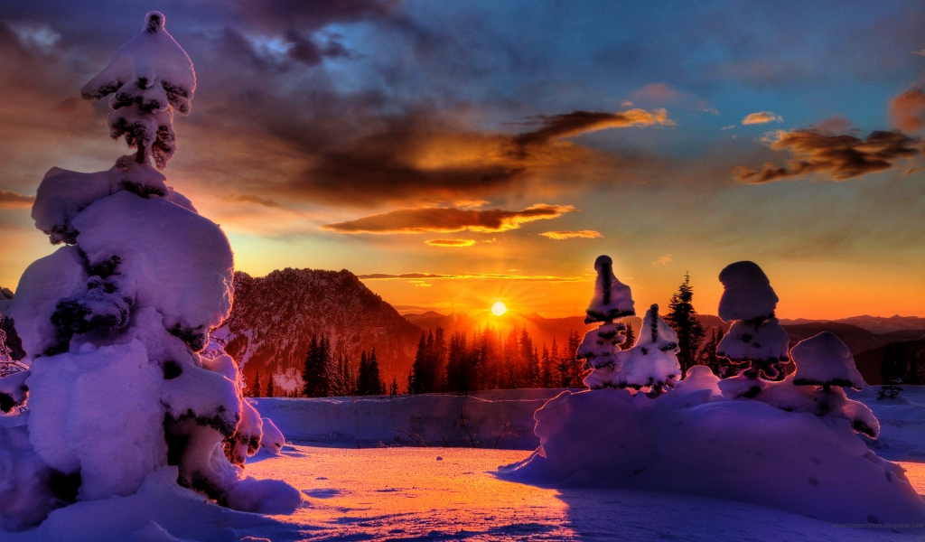 Winter Sunset for 1024 x 600 widescreen resolution
