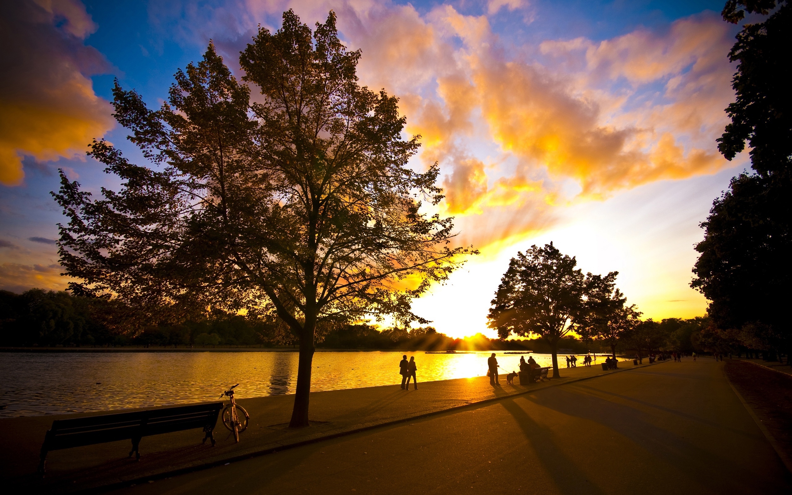 Wonderful Autumn Sunset for 2560 x 1600 widescreen resolution
