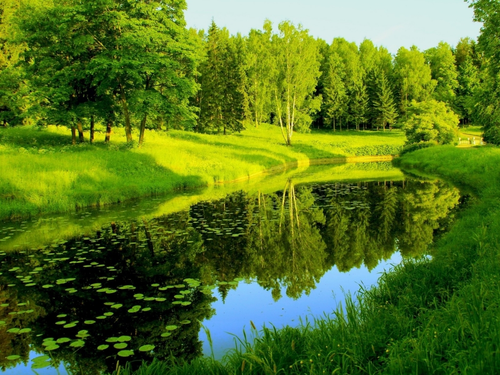 Wonderful Green Park for 1024 x 768 resolution