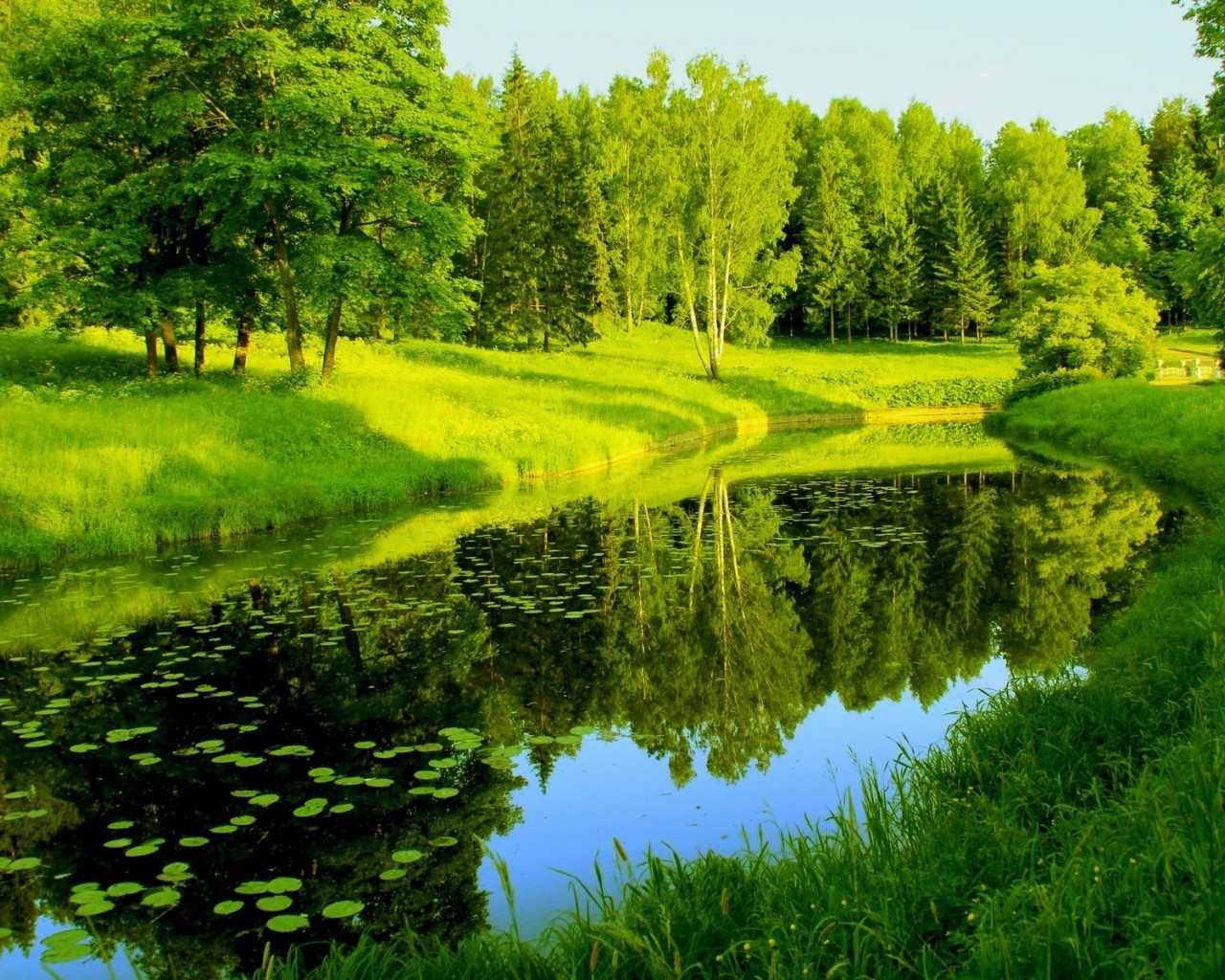 Wonderful Green Park for 1280 x 1024 resolution