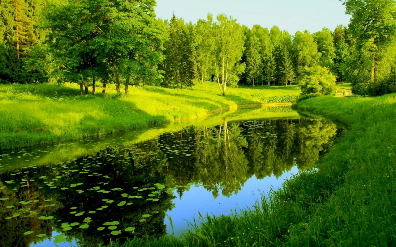 Wonderful Green Park for 1280 x 800 widescreen resolution