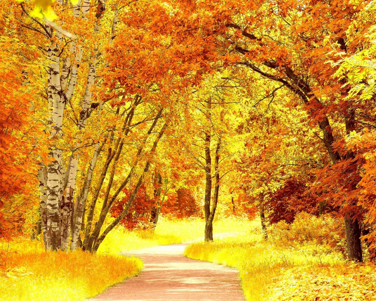 Yellow Autumn Landscape for 1280 x 1024 resolution