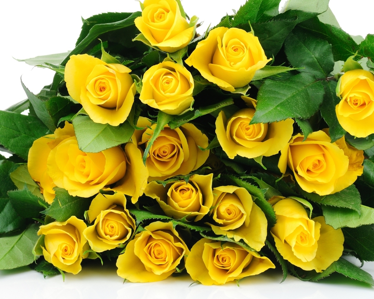 Yellow Roses Bucket for 1280 x 1024 resolution