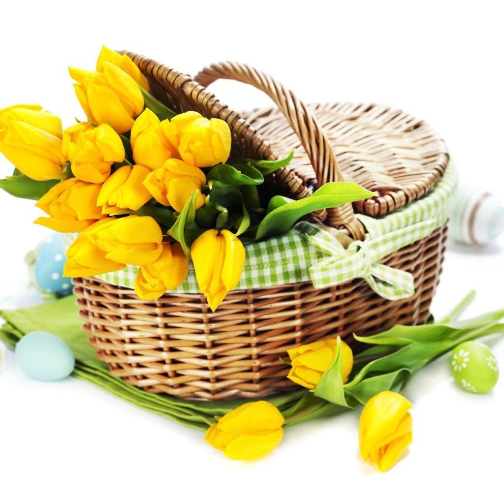 Yellow Tulips Basket for 1024 x 1024 iPad resolution