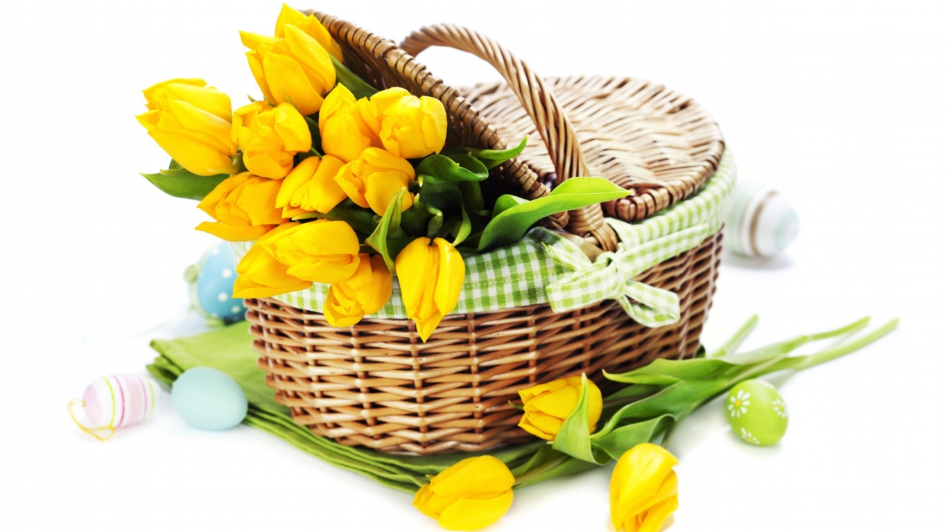 Yellow Tulips Basket for 1366 x 768 HDTV resolution