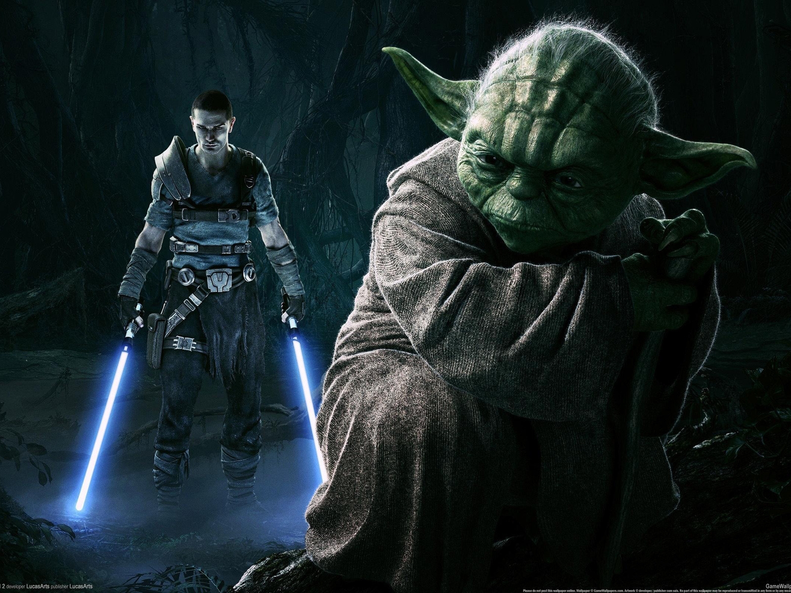 Yoda Star Wars for 1600 x 1200 resolution