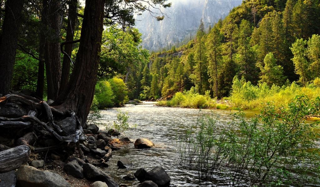 Yosemite Falls for 1024 x 600 widescreen resolution