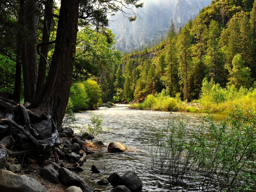 Yosemite Falls for 1024 x 768 resolution