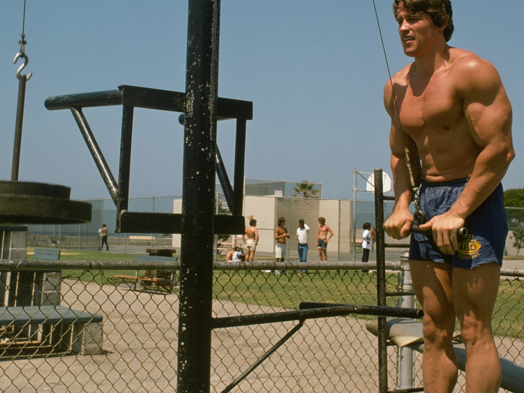 Young Arnold Schwarzenegger Workout for 1024 x 768 resolution
