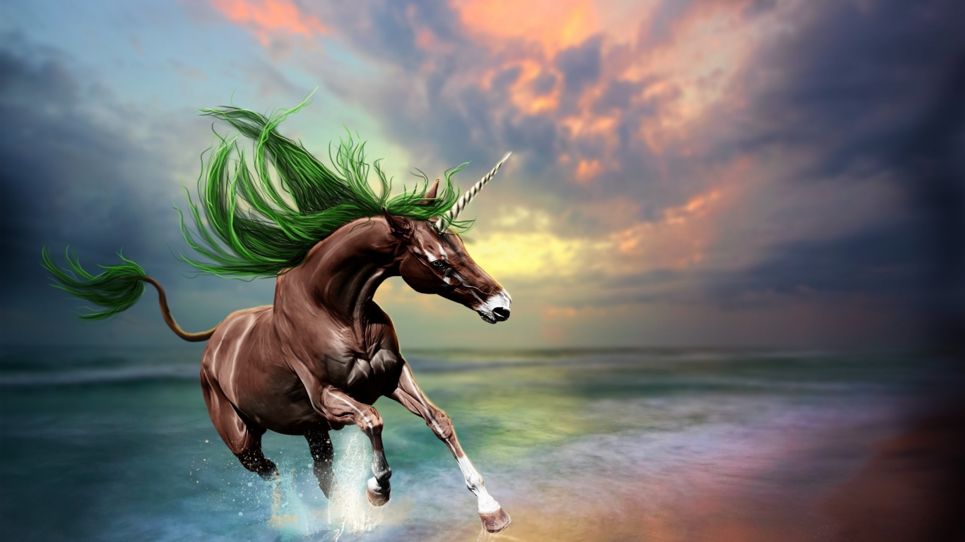 Young Horse for 1366 x 768 HDTV resolution