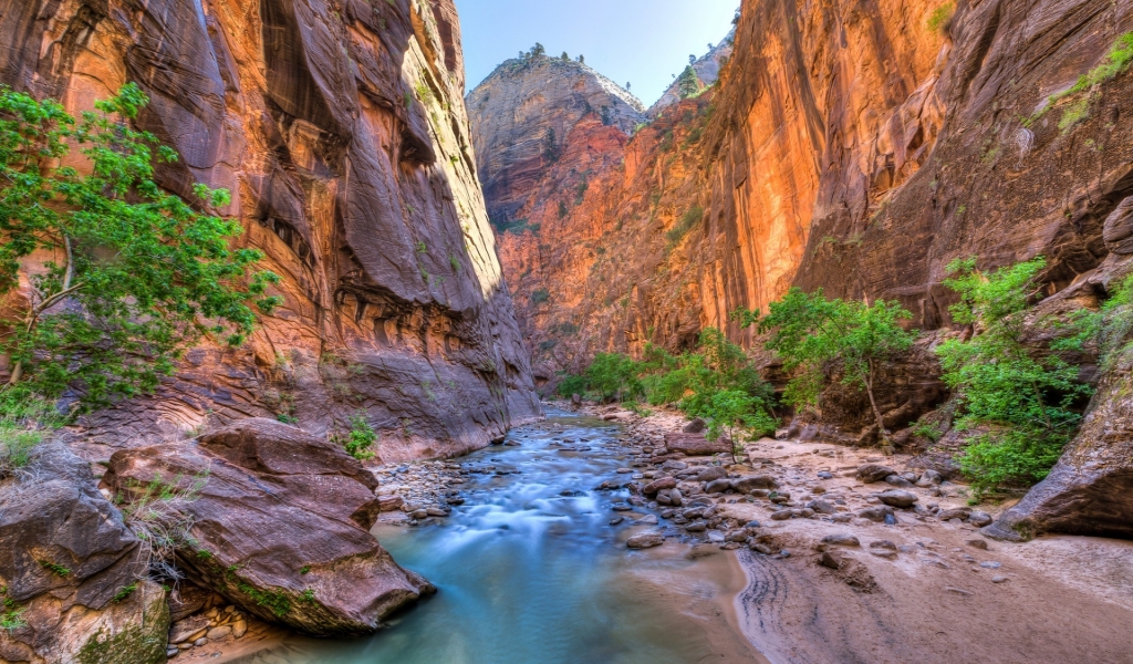 Zion National Park View for 1024 x 600 widescreen resolution